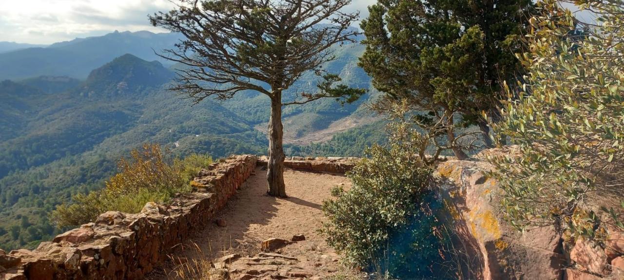 La Casita De Jimena Villa Riudecanyes Eksteriør billede